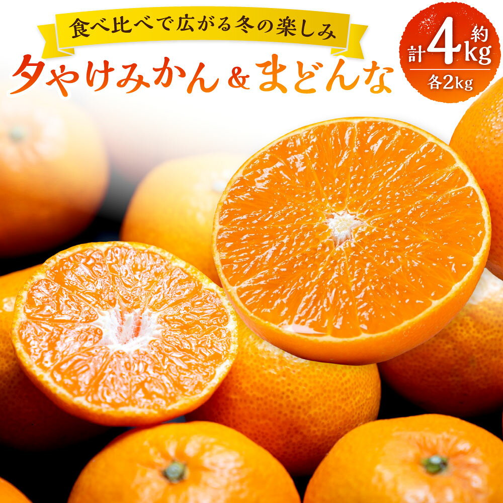 【ふるさと納税】【食べ比べで広がる冬の楽しみ】まどんな（紅まどんなと同品種） 約2kg（M～3L混合）＋夕やけみかん 約2kg（S～L混合） みかん ミカン 蜜柑 柑橘 フルーツ くだもの 果物 果実 国産 愛媛県産 送料無料（1114） 【2026年11月下旬～2027年1月下旬発送予定】