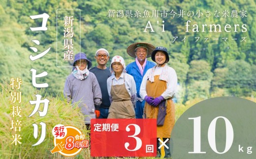 【令和8年産】先行予約 米 コシヒカリ 10kg  『3回定期便』 新潟県 糸魚川市産 減農薬 減化学肥料米 BL米 安心 安全 美味しいお米 新潟米 今井産 アイファーマーズ 今摺り米 精米 白米【こしひかり おにぎり お弁当 におすすめ お米 おこめ コメ ご飯 ライス ふるさと納税米 ブランド米 2026年 10キロ × 3回 】