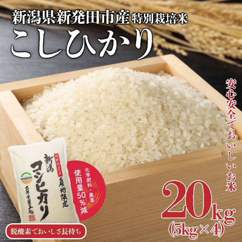 【特別栽培米】こしひかり 20kg 新潟産 新発田産 こめ  watasho006_1