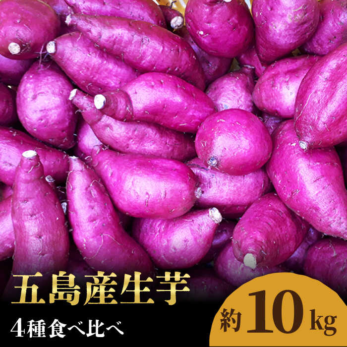 【ふるさと納税】五島産生芋10kg 安納芋 シルクスイート 紅はるか ふくむらさき いも 常温 五島市 / 芋蔵林 [PDO008]