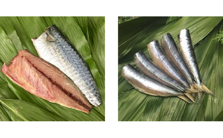  冷蔵 旬のひもの 5～6種 セット  /  ひもの  国産