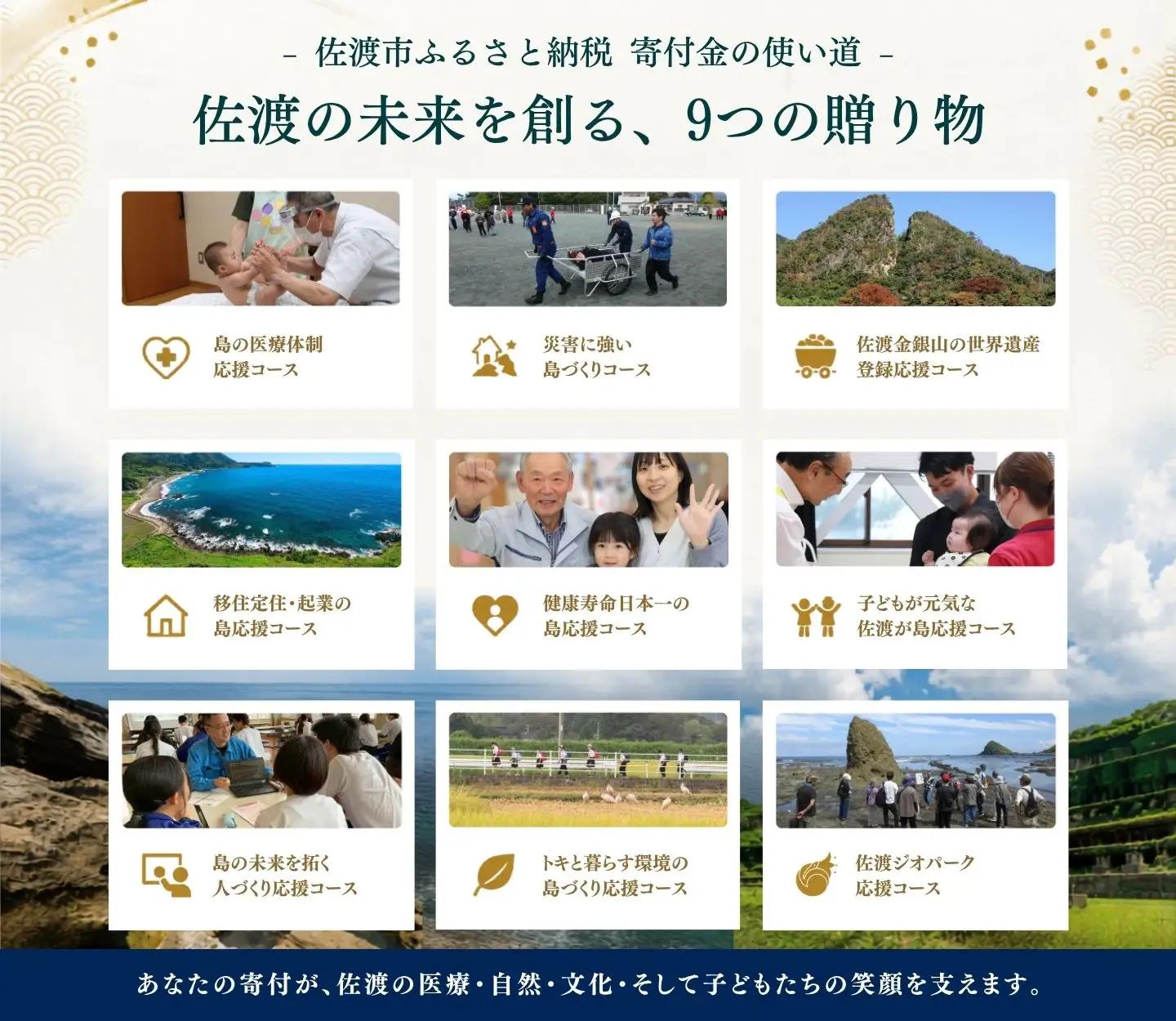 ササニシキ 玄米 10キロ | 新潟県 佐渡市 コシヒカリ