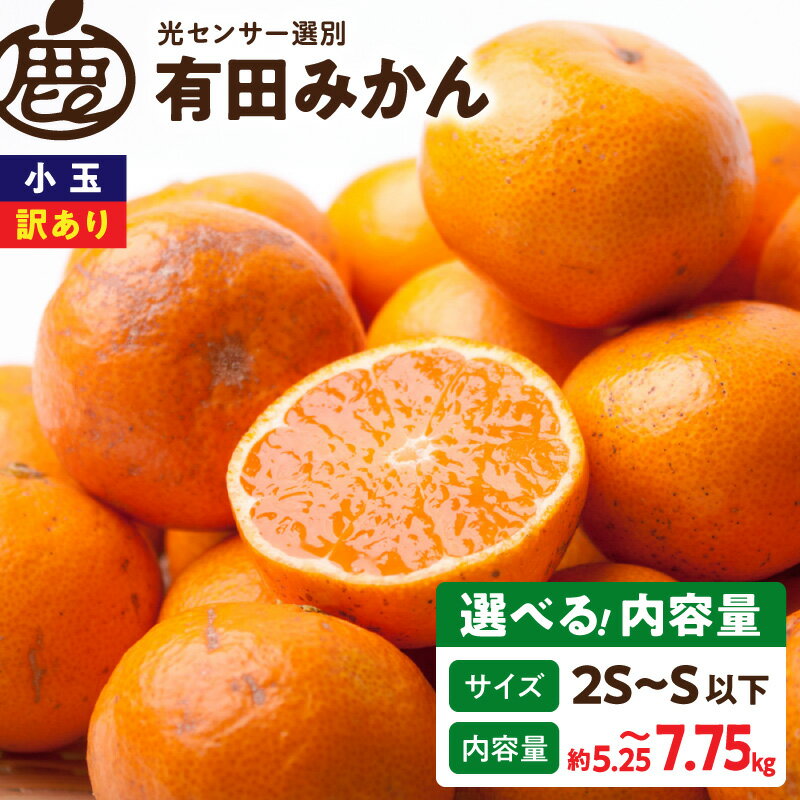 【ふるさと納税】【限定】 【2026年先行予約】 訳あり 小玉 有田みかん 選べる内容量 約5kg 約7.5kg 2S～Sサイズ以下 サイズ混合 和歌山県産 みかん フルーツ 果物 小玉みかん 温州みかん 産地直送 光センサー選果 濃厚 家庭用 果汁 和歌山県 湯浅町 送料無料