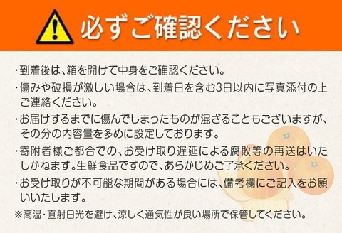 先行受付 数量限定 みつばちみかん 計3kg以上 傷み補償分付き 期間限定 フルーツ 果物 果汁 糖度 くだもの みかん ミカン 柑橘 オレンジ 国産 食品 デザート おやつ おすすめ 産地直送 おす