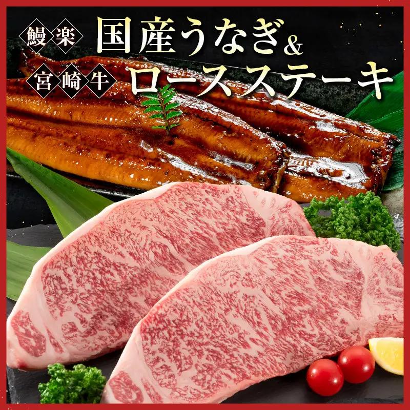 鰻楽 国産うなぎ 2尾 計360g ＆ 宮崎牛 ロースステーキ 250g×2枚 計500g 肉質等級4等級 国産 人気 おすすめ【C129-2510-90】