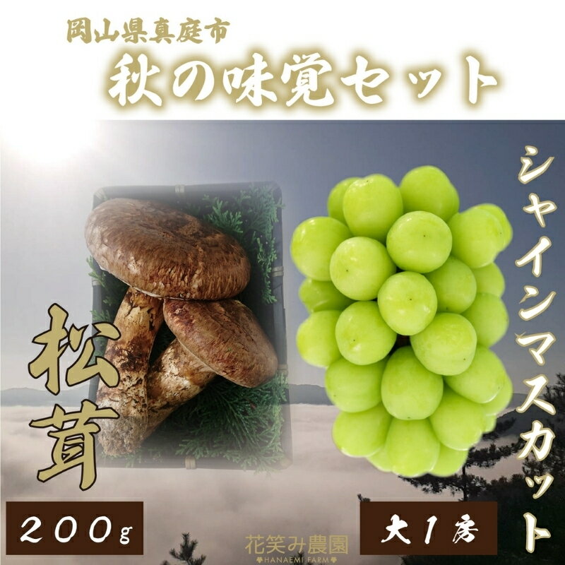 【ふるさと納税】 花笑み農園の岡山県産『松茸+シャインマスカット』秋の味覚セット hana22【2025年9月下旬～順次発送】【配送不可地域：離島】国産 岡山県 真庭市 希少 産地直送 松茸 天然物 大粒 葡萄 果物 フルーツ シャインマスカット 人気 豪華 セット【1438640】