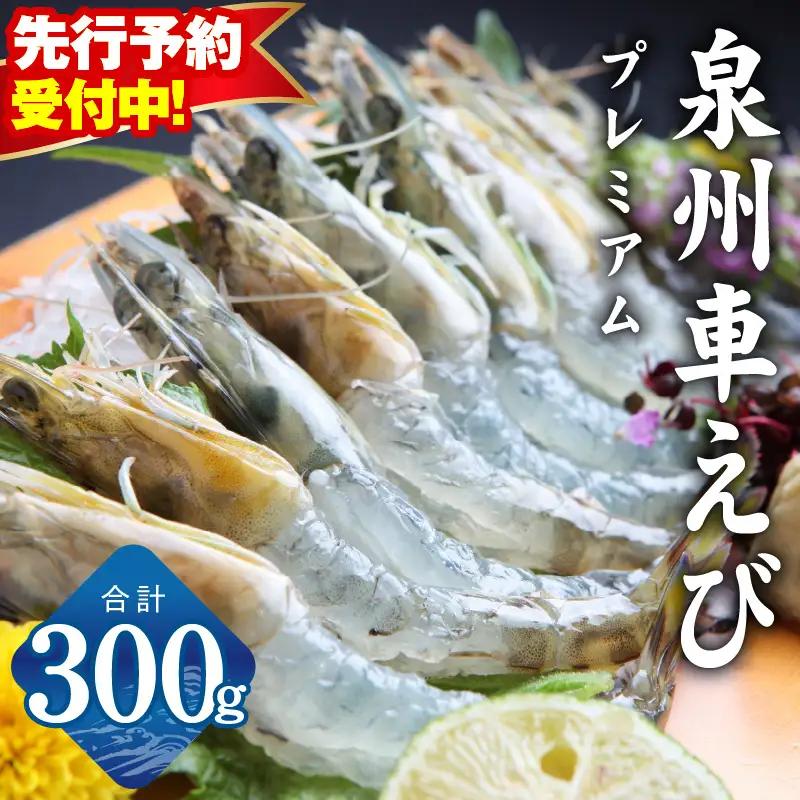 【TVで紹介】泉州車えび 300g【先行予約】
