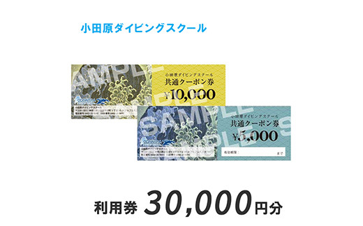 
小田原ダイビングスクール共通クーポン券 30,000円分【30,000円分クーポン券 小田原でダイビング ダイビングスクール 1万円クーポン券3枚 ライセンス講習 ダイビングライフ 神奈川県 小田原市 】
