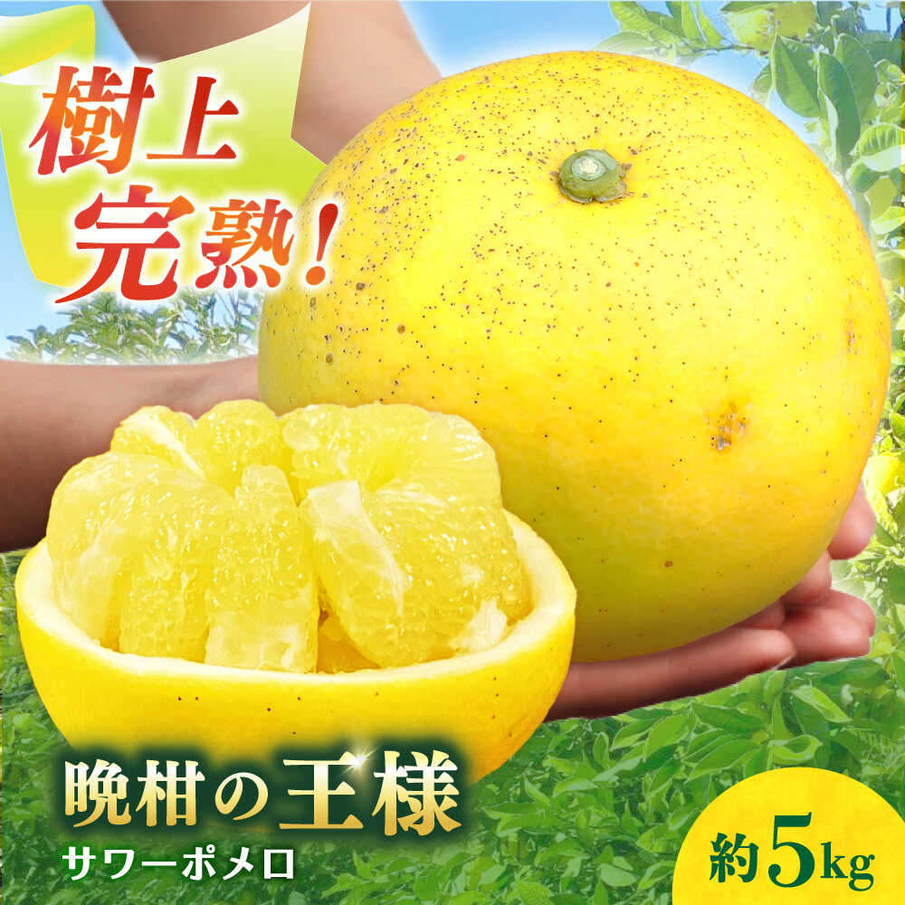 【ふるさと納税】【数量限定】サワーポメロ 約 5kg ー2026年3月より発送ー 長与町/ 溝上農園 [EBY004] サワーポメロ 先行予約 国産 柑橘 果物 くだもの 文旦 フルーツ お取り寄せ 長崎県産 長与町 文旦 ぶんたん ボンタン ザボン