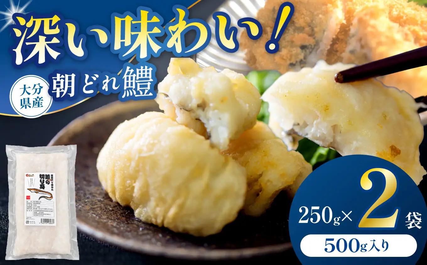 【数量限定】鱧（はも）の切り身 250g×2袋 | 魚 さかな サカナ 切り身 きりみ はも 鱧 小分け ハモ 魚の切り身 お鍋 水炊き フライ 天ぷら 冷凍 産地直送 中津産 九州産 大分県 中津市