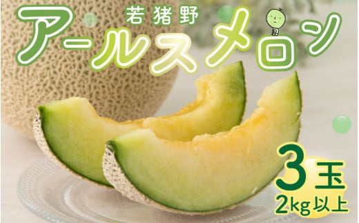 【先行予約】若猪野アールスメロン 2kg 以上 3玉 箱入り ※2025年8月下旬より順次発送 [A-011011]