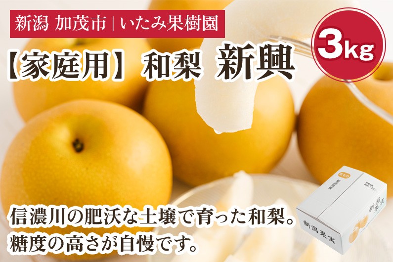 
            【2026年先行予約】【家庭用】新潟県産 新興梨 3kg（7～11玉）《10月下旬以降発送》 和梨 なし ナシ 果物 しんこう フルーツ 新潟県産 加茂市 いたみ果樹園
          