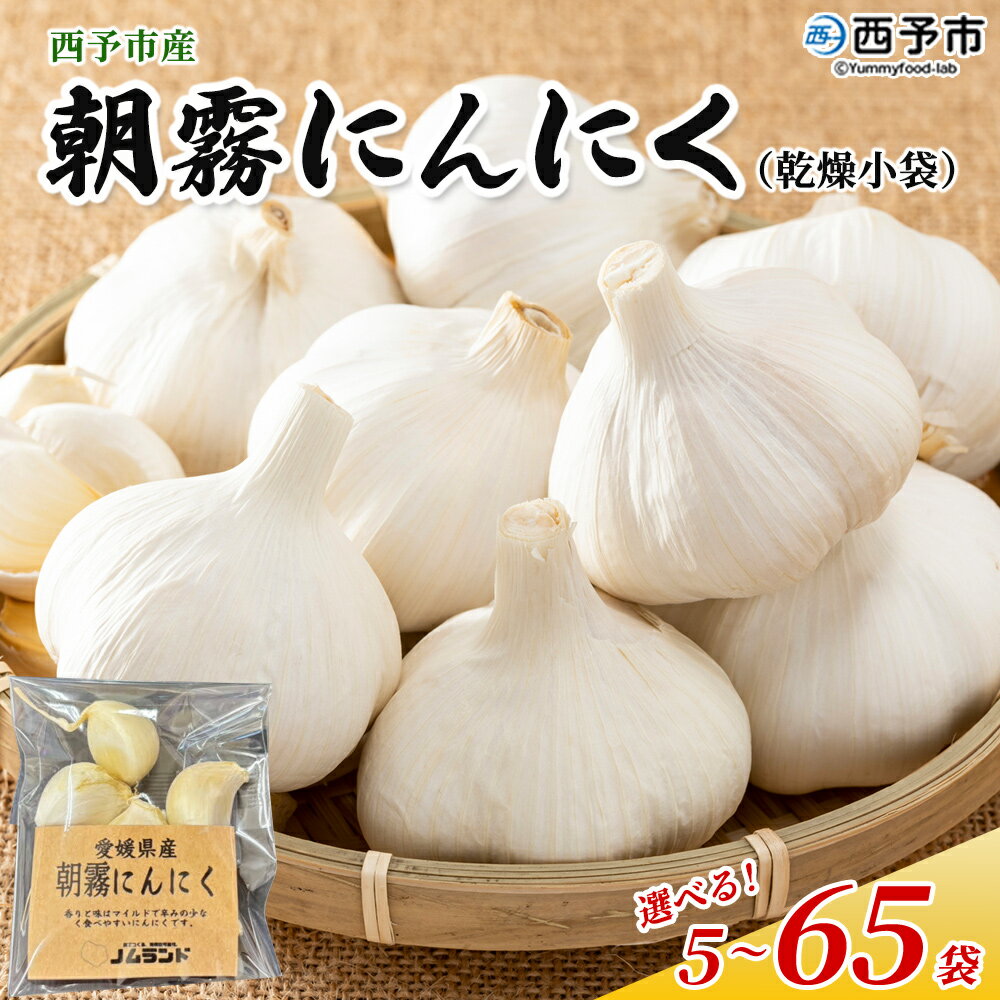 【ふるさと納税】＜西予市産 朝霧にんにく（乾燥小袋）1袋20g入り 5～65袋セット＞ 選べる 内容量 国産 ニンニク 小分け 5袋 15袋 30袋 65袋 セット 愛媛県産 野菜 やさい ドライ 大粒 ストック 薬味 特産品 ノムランド 愛媛県 西予市【常温】『1か月以内に順次出荷予定』
