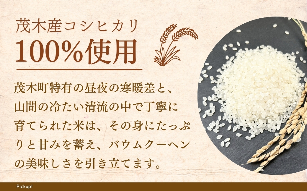 バウムクーヘン 茂木町産米粉100%使用 チーズインバウム 10個 | バームクーヘン スイーツ コシヒカリ 米粉 チーズ ブルーベリー グルテンフリー 発酵 バター コーヒー ベイクドチーズケーキ 