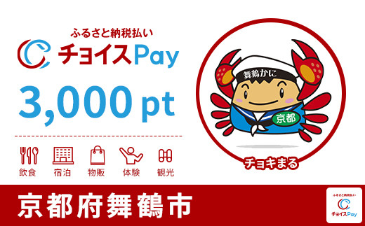 
            舞鶴市チョイスPay 3,000pt【会員限定のお礼の品】
          