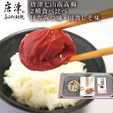 【ふるさと納税】唐津七山 南高梅2種食べ比べ 500g×2(合計1kg)「irodoriからつ四季の返礼品・はちみつ味・田舎しそ味」山間から湧き出る澄んだ水をふんだんに含んだ土壌で栽培 「2024年 令和6年」