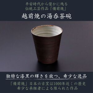 【日本茶／湯呑・高級ギフトセット】【越前三匠の響宴 香茶庵】  ～青製煎茶製法「味真野茶」、越前伝統継承「越前湯呑」、越前「漉き合わせ和紙箱」　限定特別作品～