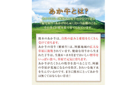 熊本県産 あか牛ローストビーフ500g×1個《60日以内に出荷予定(土日祝除く)》 