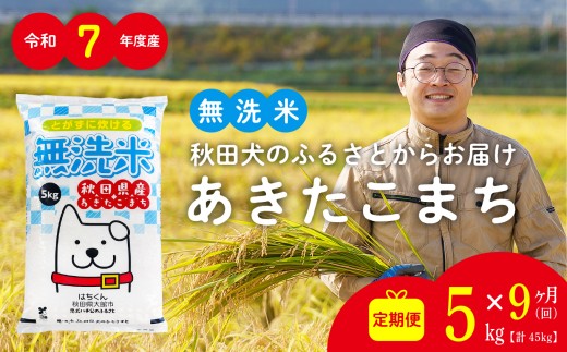 【定期便9ヶ月】秋田県産あきたこまち(無洗米)5kg　/ 米 無洗米 5kg 白米 令和7年産 秋田県産 あきたこまち 5kg×1袋 おにぎり 大館 東北 秋田 小分け こわけ 大館市 5キロ 5ｷﾛ 5きろ