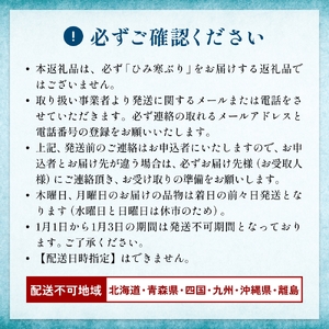 【先行予約】 氷見産 天然寒ぶり 柵 4-5人前 約400g-500g 【2025年11月中旬以降順次発送】 釣屋魚問屋直営 ひみ岸壁市場 富山県 氷見 氷見漁港 能登 寒ブリ 天然鰤 サク ひみ岸壁
