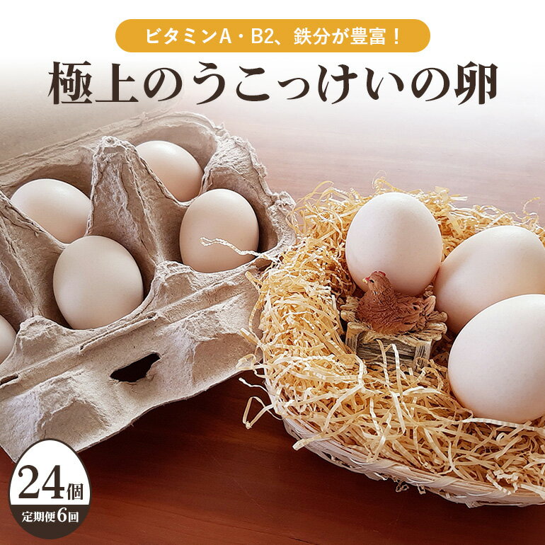 【ふるさと納税】 平飼い極上のうこっけいの卵 24個（20＋補償4個）【6ヶ月定期便】卵かけご飯 卵かけごはん TKG 卵 たまご タマゴ 玉子 烏骨鶏 烏骨鶏の卵 安全 テレビ TV マニアさん 健康 美容 ご飯 すき焼き 目玉焼き 卵焼き 玉子焼き たまご焼き 37-B