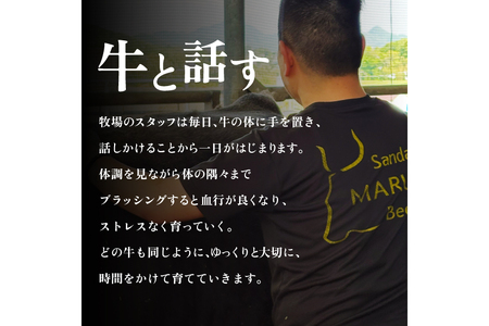 三田牛　すき焼　800ｇ