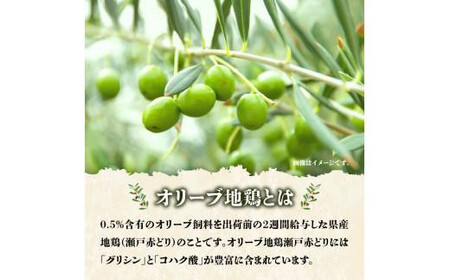 【お中元ギフト】＼寄附額改定／オリーブ地鶏使用 讃岐名物 骨付き鶏 3本入