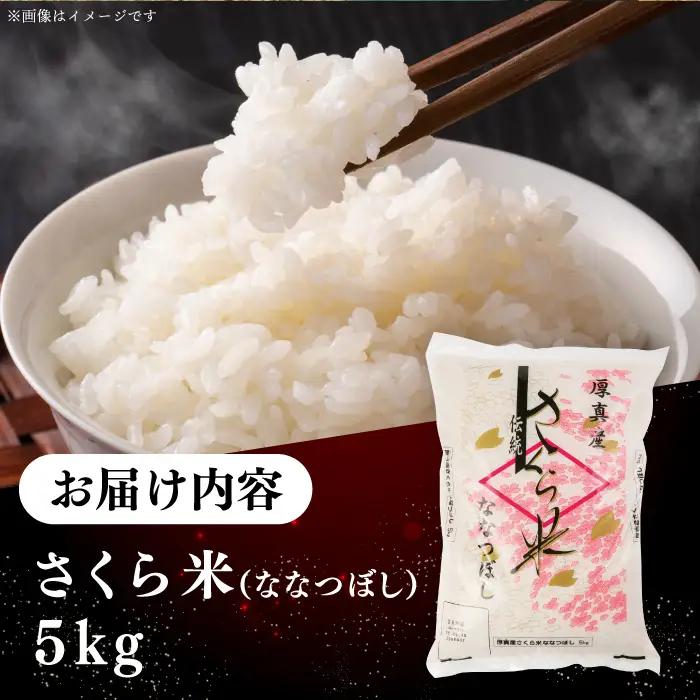 【令和7年産】 さくら米（ななつぼし）5kg 北海道 コメ こめ ブランド 銘柄 [AXAB061]