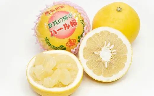 【2027年1月下旬～2月下旬迄発送予定】パール柑 文旦 6 ～ 18玉 約5kg 柑橘類 柑橘系 柑橘 果物 くだもの フルーツ 果実 果汁 果肉 甘み 酸味 ジューシー 国産 熊本県産
