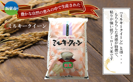 No.863 令和7年産　ミルキークイーン5kg【坂東市産】 ／ 令和7年 新米 米 お米 こめ コメ 精米 白米 ご飯 国産米 5kg 5キロ ツヤ 香り もちもち 低アミロース米 弁当 おいしい 