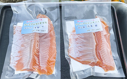【定期便12回】産地直送栃木県のブランド魚「プレミアムヤシオマス」の刺身 800g (200g×4パック)  [ 冷凍便 ] | 魚 ます 養殖 産地直送 栃木県 (毎月お届け）