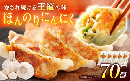 【5パック】餃子屋ヒロの ほんのりにんにく餃子【餃子屋ヒロ】開成町 餃子 点心 惣菜 冷凍[BDAS005-3]