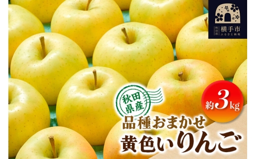 【先行受付】10月上旬より発送 りんご 品種おまかせ 季節の黄色いりんご 約3kg（トキ、ぐんま名月、シナノゴールド） [先行予約 秋田県 横手市 林檎 リンゴ 果物 フルーツ 【りんご】特集]