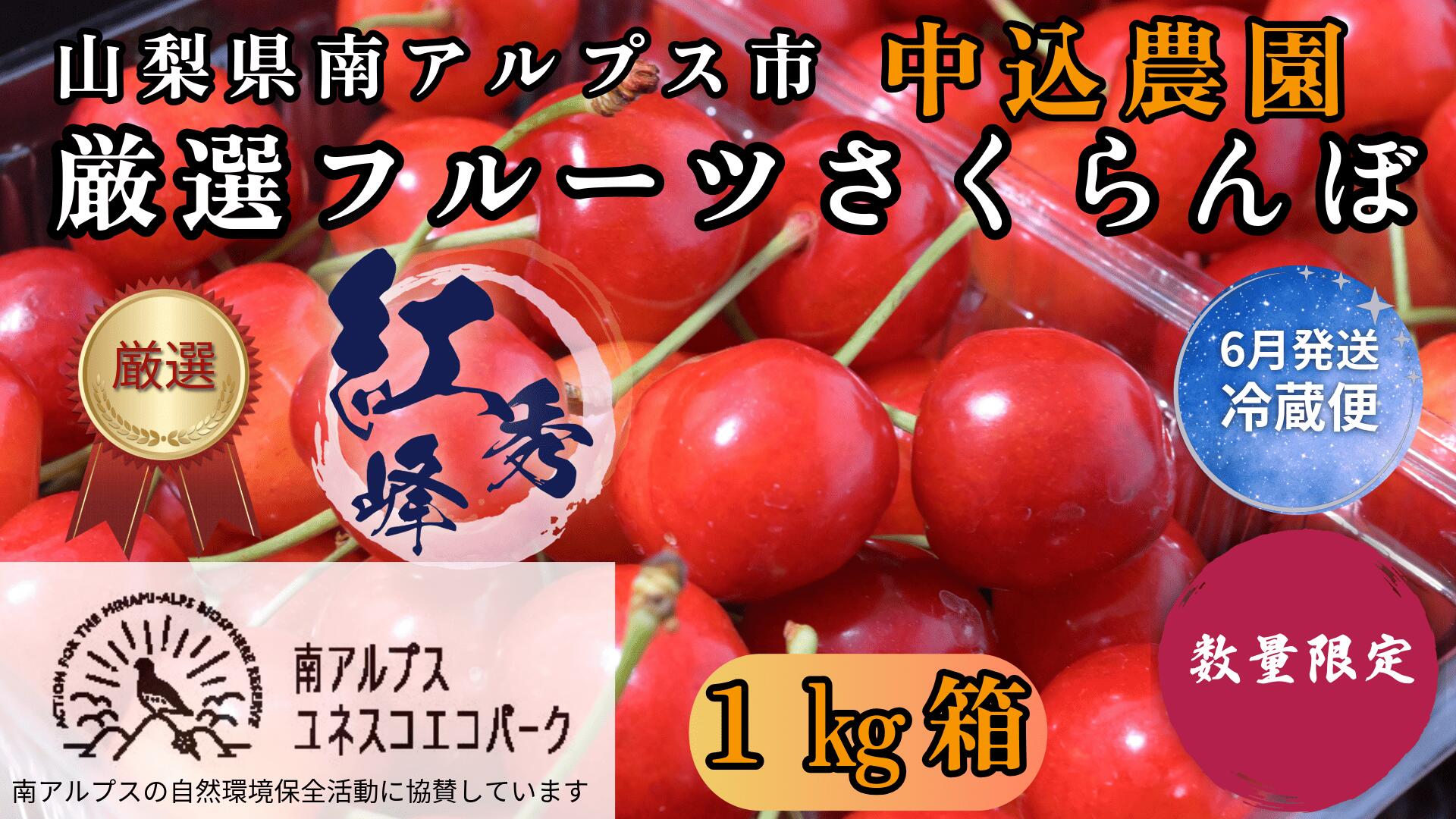 【ふるさと納税】＜2026年発送先行予約＞ 山梨県南アルプス市産 厳選さくらんぼ (紅秀峰) 1kg 山梨県南アルプス市産 ふるさと納税 さくらんぼ サクランボ 紅秀峰 葡萄 果物 フルーツ おすすめ 山梨県 南アルプス市 送料無料 ALPEM013