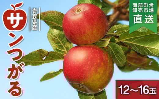青森県産 りんご 「サンつがる」 約4kg（12～16玉） 【カネテ青果】 南部町営卸売市場 直送 青森りんご リンゴ 林檎 アップル あおもり 青森県 南部町 三戸 果物 くだもの フルーツ F21U-210