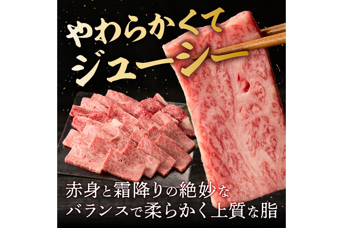 【B1-024】博多和牛 肩ロース焼肉用