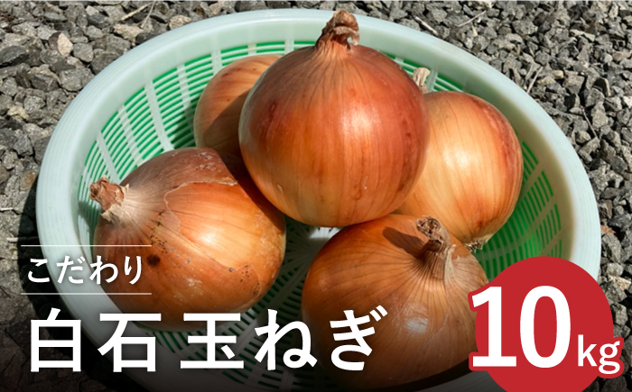 【先行予約】【農家直送！】こだわり 白石玉ねぎ 10kg【れんこんの家やました】 [IAW009]