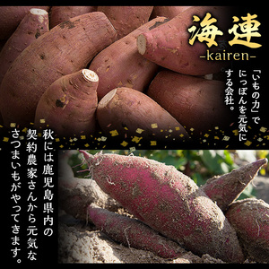 鹿児島本格芋焼酎 黒瀬安光作「伊七郎」(720ml×2本) 阿久根市 国産 4合瓶 名工 プレミアム焼酎 セット 限定 酒 いも さつま芋 さつまいも サツマイモ アルコール ギフト 贈答 常温保存【