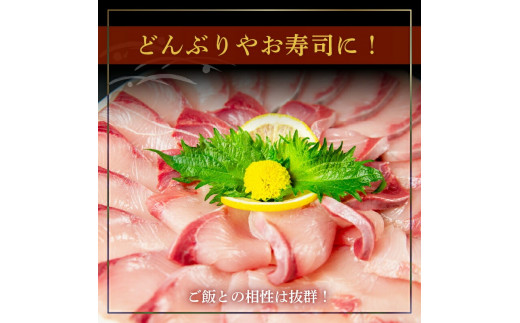 乙女 ブリ 丸ごと1本 約 3kg （下処理有） お刺身 刺身 ブランド 新鮮 鰤 ぶり 冷蔵 ブリ しゃぶ 高知県 須崎市 高知 鰤 年末 正月 KS0341-3x