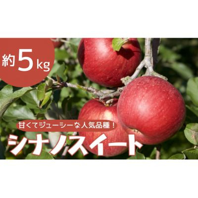
                  りんご シナノスイート 約5kg【1504882】
                