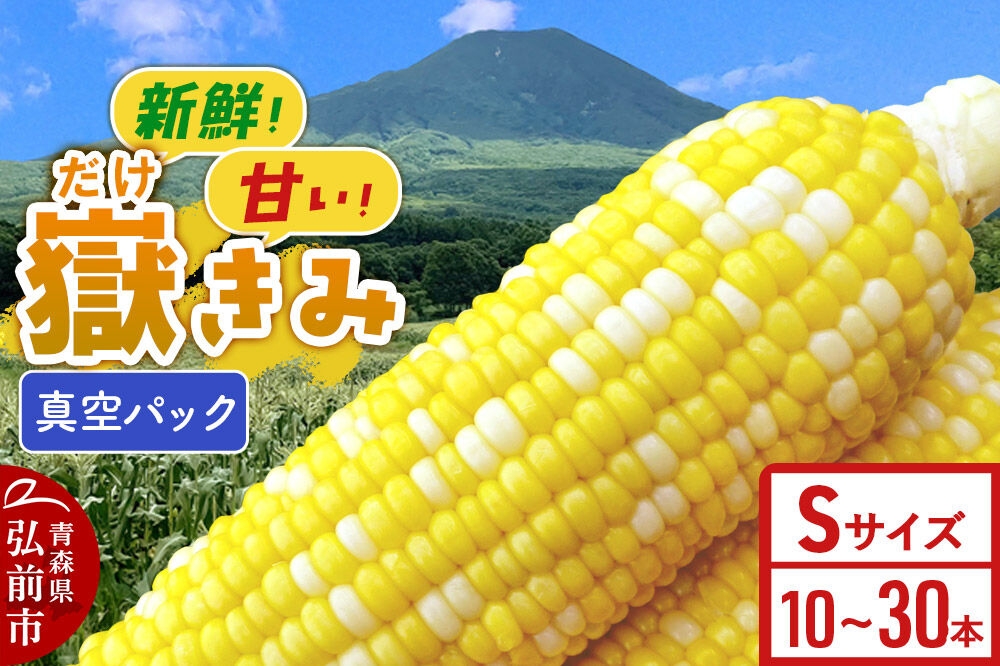 
                  とうもろこし【26年10月中旬～発送】嶽きみ真空パック Sサイズ【選べる本数 10本／20本／30本】しらかみラボ [先行予約 産地直送 嶽きみ コーン ブランド 真空パック おいしい 青森 野菜 だけきみ]
                