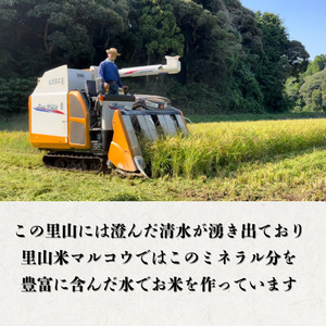 里山米マルコウ　コシヒカリ　5kg　精米 ／ 米 こめ コメ お米 おこめ コシヒカリ こしひかり 令和7年産 新米 白米 精米 ごはん ご飯 5kg 千葉県 匝瑳市 送料無料