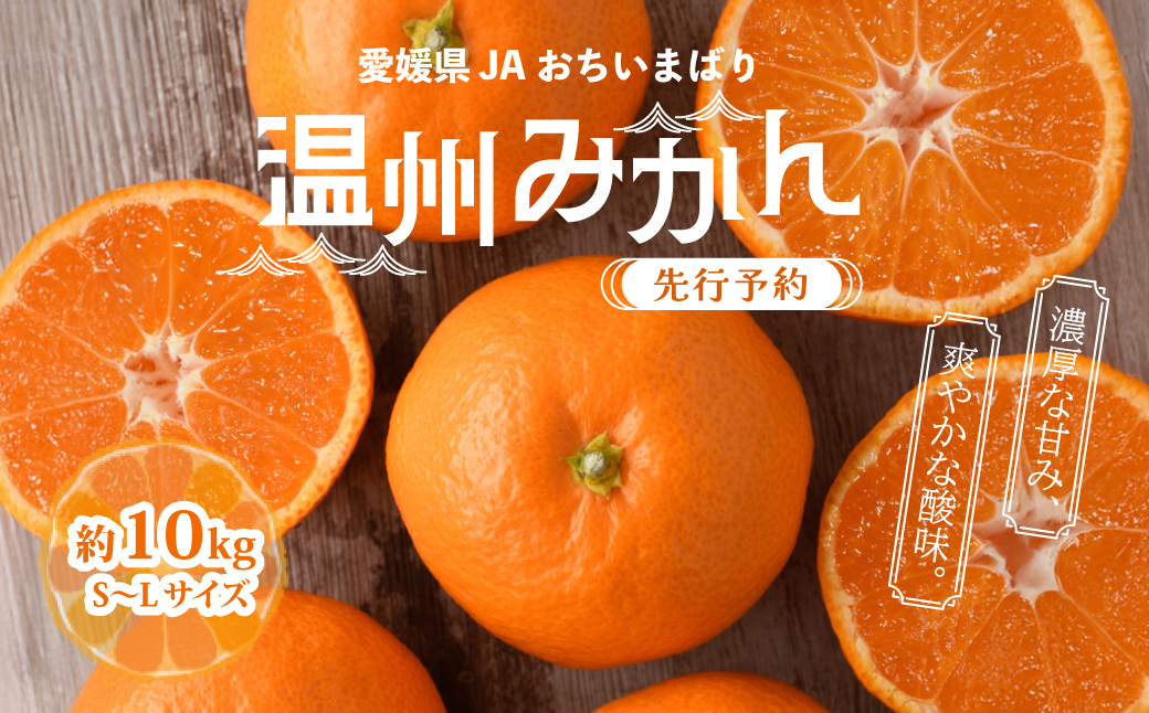 【先行予約】瀬戸内の温州みかん10kg　秀L～S | みかん ミカン 温州ミカン 温州みかん 甘いみかん 愛媛みかん 果物 フルーツ 柑橘 限定JA選果品