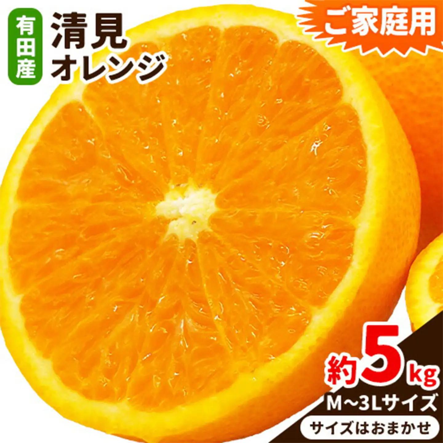 オレンジ ご家庭用 清見オレンジ約5kg