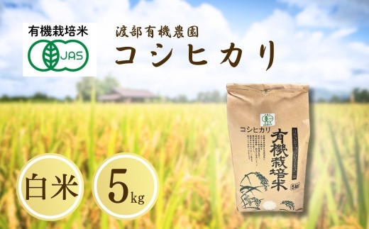 JAS有機米 コシヒカリ 白米 5kg 令和7年産 | JAS 有機米 精米 コメ 米 こめ ブランド米 銘柄 福島 福島県産 渡部有機農園