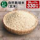 【ふるさと納税】【定期便】【1ヶ月毎11回】自然栽培米（玄米） 30kg×1袋 計330kg（30kg×11回） ミルキークイーン お米 米 玄米 単一原料米 無農薬 化学肥料不使用 有機肥料不使用 大分県産 国産 大分県 九重町 送料無料