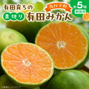 【ふるさと納税】【先行予約】【旬の果実】有田育ちの濃厚 青切り有田みかん【訳あり 家庭用】 5kg (サイズ混合)【ミカン 蜜柑 オレンジ 柑橘 わせ 温州みかん 和歌山 有田】