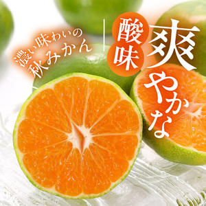 MK1057_【2025年先行予約】ゆら早生 みかん 箱込 2.5kg ( 内容量 2.3kg ) S M Lサイズのいずれか 秀品 優品 混合 有田みかん 和歌山県産