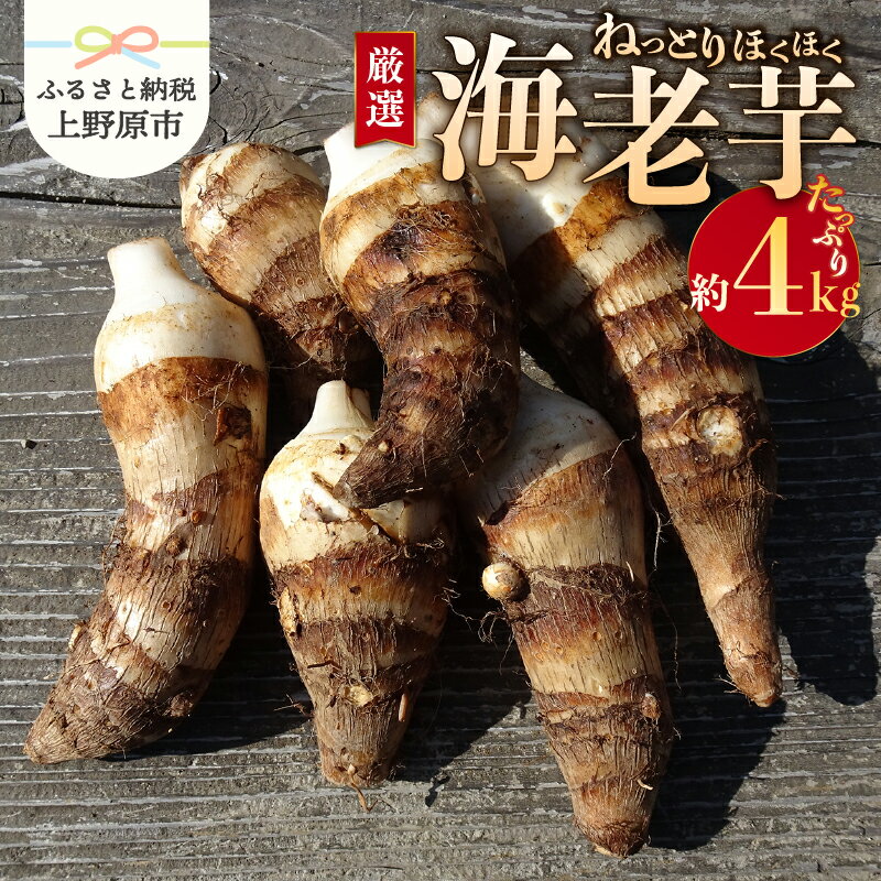 【ふるさと納税】 ◆先行予約◆ ＼山梨県産！数量限定／ 海老芋 4kg ほくほく しっとり 厳選 期間限定 野菜 化学肥料不使用 農薬不使用 農園直送 2025年度収穫 ギフト プレゼント お取り寄せ 贈り物 贈答 送料無料 上野原市