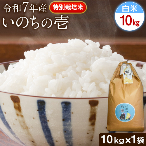 令和7年産 特別栽培米 いのちの壱(白米) 10kg(10kg×1袋) 雑穀米付き《60日以内に出荷予定(土日祝除く)》 熊本県 南阿蘇村 熊本県産 虹色のかば 白米 雑穀米